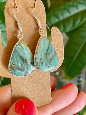 925 Silver Larsonite (Gary Green Petrified Wood) Teardrop Dangle Earrings
